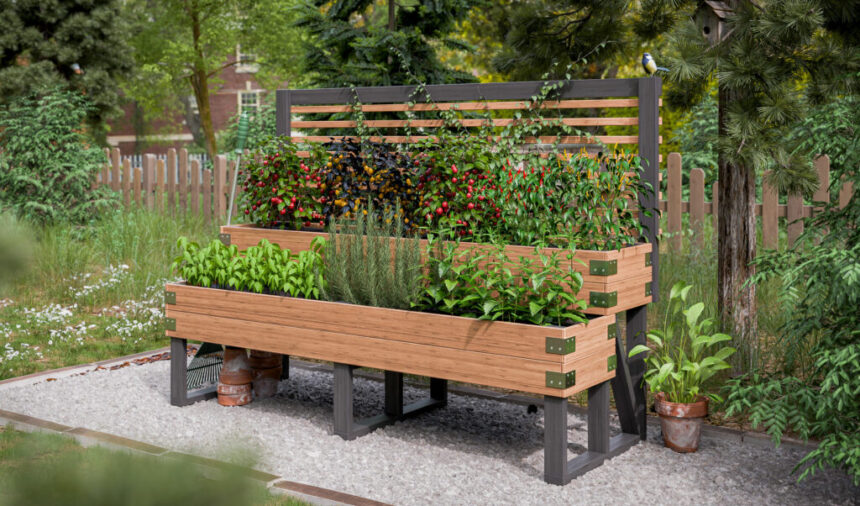 How to Build a Raised Garden Bed